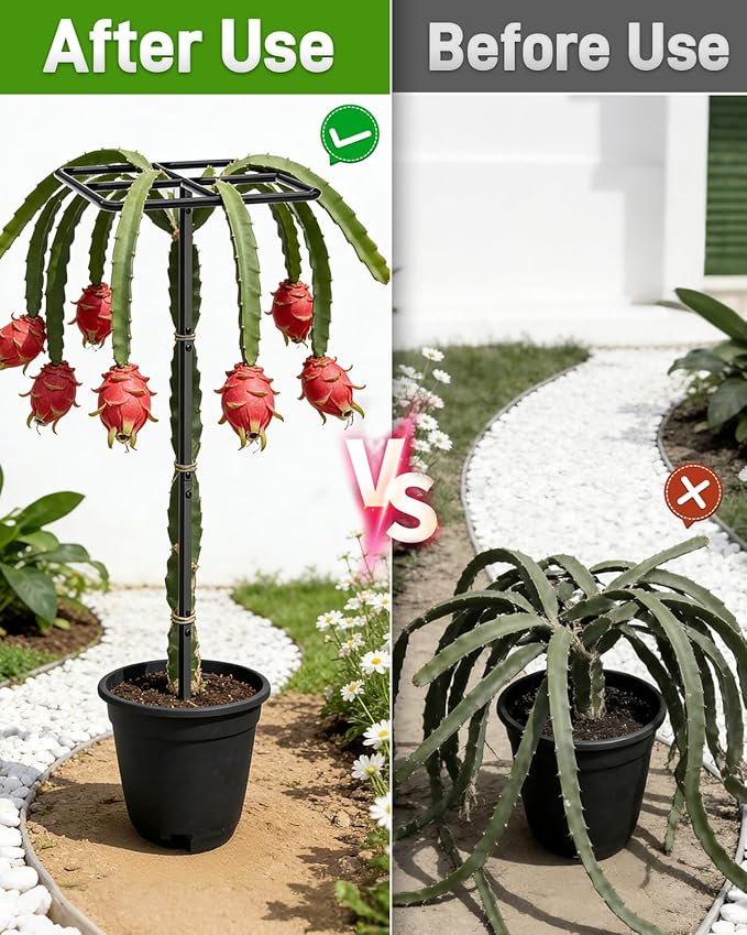 66''×16'' Heavy-Duty Metal Dragon Fruit Trellis, Adjustable Gardening Support Stand for Vertical Climing Plants,Trees,Cactus Garden Outdoor Indoor Potted Support