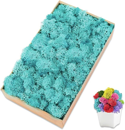 Preserved Moss for Crafts Blue Reindeer Moss for Potted Plants, Craft Decorative Moss Decor for Wall Art, Dried Moss(7oz, Blue)