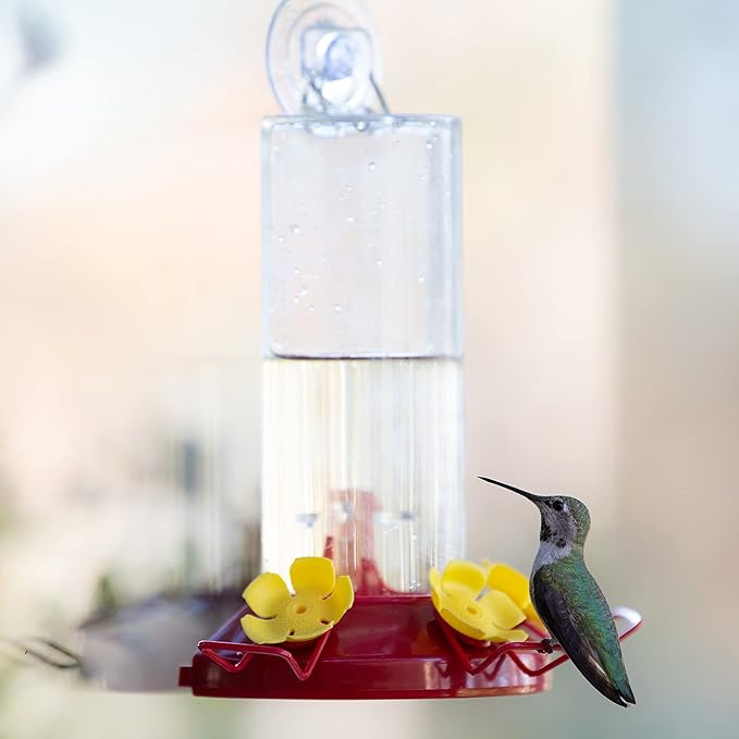 Perky-Pet Plastic Window Mount Hummingbird Feeder with Perches - 8 oz Hummingbird Nectar Capacity,217 -Hummingbird feeders for Outdoors,(Pack of 6)