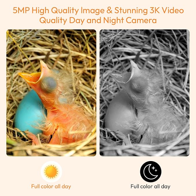 Smart Bird House with Camera – Bamboo Carving, AI Bird Recognition,IP66 Waterproof, Two-Way Audio, App Control,4MP Full-Color Night Vision,Solar-Powered,Cloud & SD Storage (Solar Birdhouse)