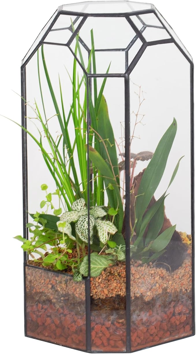 NCYP No Door Glass Geometric Terrarium for Plant, Succulent, Cacti - 5.5"x5.5"x12.8" Indoor Tall Octagon Glass Planter, Home Garden Office Decoration, Micro Landscape (Terrarium Only)
