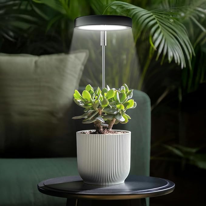 Grow Lights for Indoor Plants Small Potted - Full Spectrum, Auto 3/9/12H Timer, 10-Level Dimming & Adjustable Height - Compact Grow Light for Succulents, Herbs, Foliage in Home/Office (Black,3PACKS)