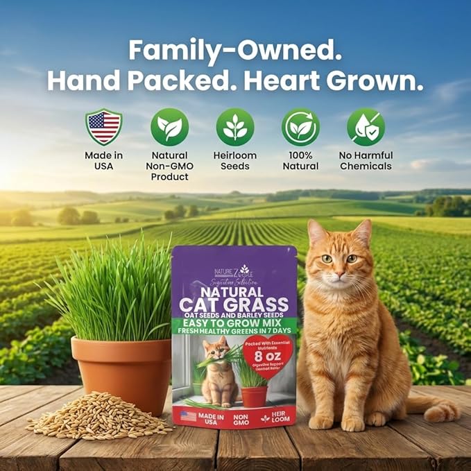 NatureZ Edge Premium Cat Grass Seeds for Indoor Cats, Non GMO - 1/2 lb Oat & Barley Grass for Indoor Cats, Cat Plant, Kitty Lawn, Pet Grass, Hierba para Gatos, Made in USA
