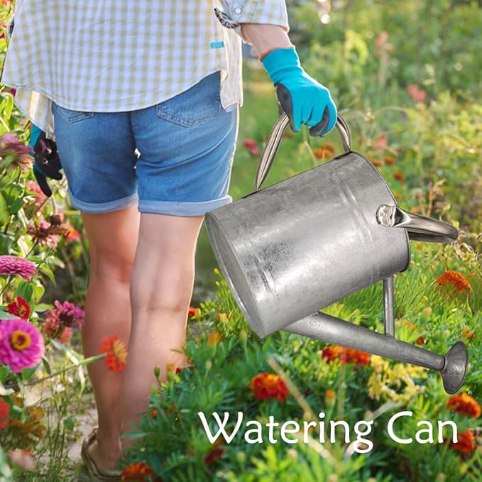 Metal Watering Can 1 Gallon with Removable Spout, Ideal Plant Watering Can for Indoor and Outdoor Plants (One Gallon BXG Silve)