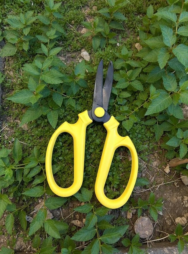 Garden Pruning Shears Scissors Carbon Steel Blades 7.6 Inch Craspedia - Yellow