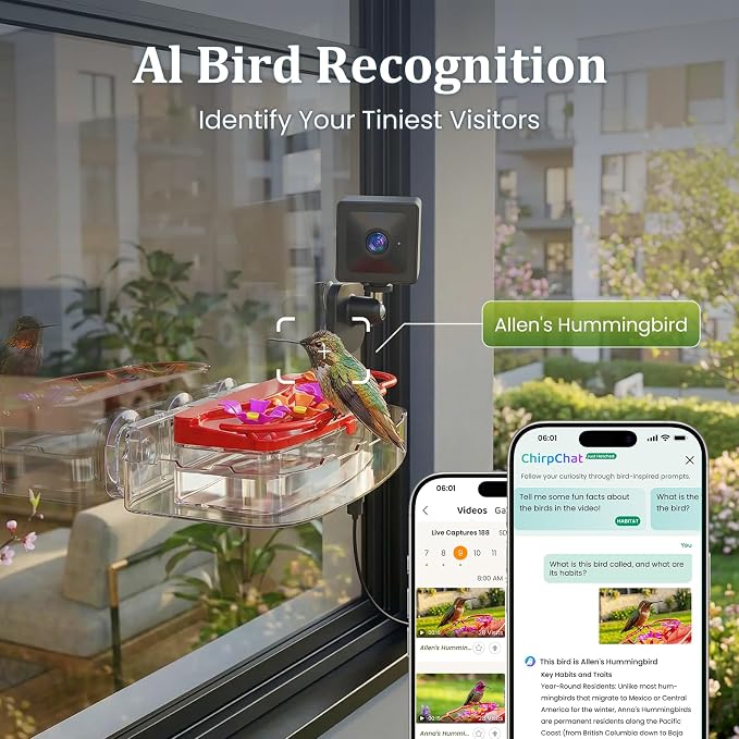 2K Smart Window Hummingbird Feeder Camera with AI Identify, Auto-Capture Fast Moments, IP65 Waterproof & Ant Moat, Strong Suction for Apartment/Cat TV, Best Gift for Bird Lovers