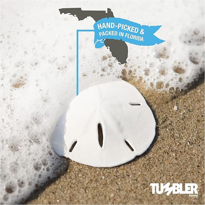 Tumbler Home Sand Dollars and Starfish for Crafts, 6 Real Starfish (4"-6") and 6 Sand Dollars (3"-3.5") in Bulk