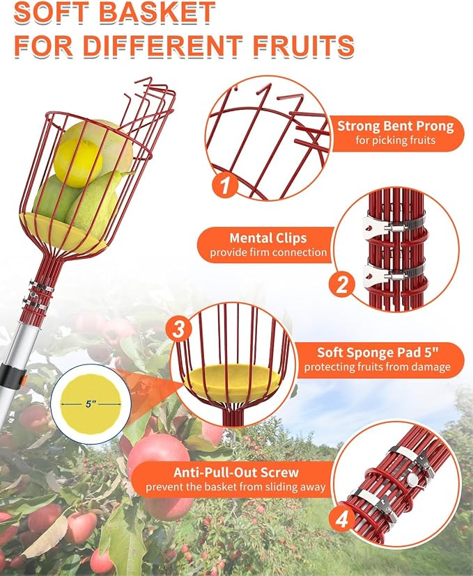 Buyplus 26ft High Reach Fruit Picker with Basket Telescoping, 5-20 Foot Heavy Duty Sturdy Aluminium Telescoping Extension Pole, Easy to Attach Twist-On Metal Basket for Picking Mango Avocado Lemon