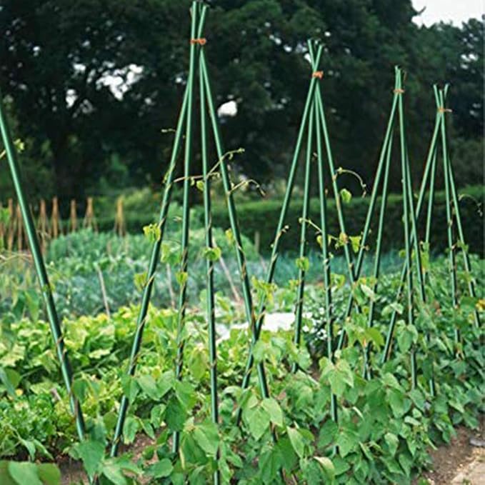 Growsun 6ft Garden Stakes Metal Plastic Coated Plant Cage Supports Tomato Stakes Trellis Climbing for Tomatoes,Trees,Cucumber,Fences,Beans,25 Pack