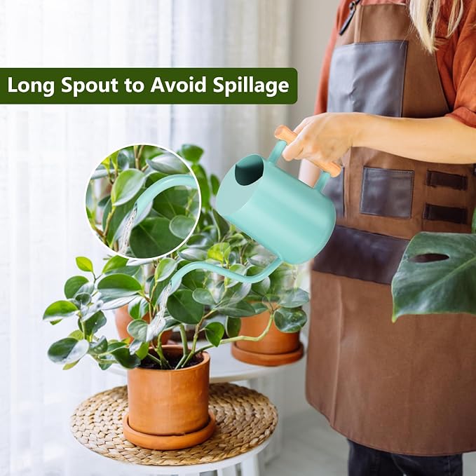 Watering Can Indoor Plants, 35oz Small Indoor Stainless Steel Metal Watering Can Modern Decorative Watering Pot with Long Spout for Indoor House Plant Bonsai Outdoor Garden Flowers Green
