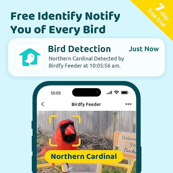 NETVUE by Birdfy Pro Smart Bird Feeder with Camera Solar Panel, Instant Arrival Alerts, Live Stream & Night Vision for Outdoors & Backyard Hummingbird, Cardinalis & Oriole Watching, Ideal Gifts,Yellow