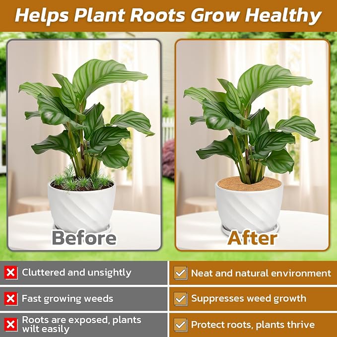 Legigo 10pcs Coconut Fiber Mulch Ring Tree Plant Protector Mat, 11.8 Inch Natural Coco Coir Tree Mulch Ring Plant Pot Soil Cover, Tree Rings Disc Plant Cover for Indoor Outdoor Plants, Landscaping
