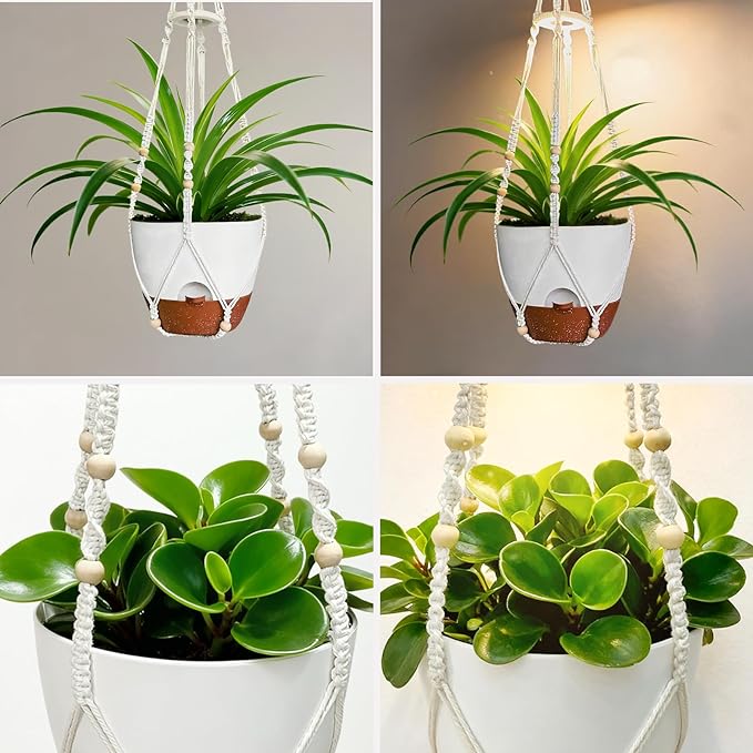2 Pack Hanging Planters with Grow Light for Indoor Plants, 10” Self Watering Pots for Apartments & Low-Light Rooms, Macrame Hangers, Timer, Drainage Holes & Removable Tray