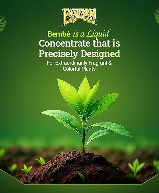 FoxFarm Bush Doctor Bembé Sweet & Dandy Liquid Plant Fertilizer - Complex Nutrient Blend - 0-1-3 PK Fertilizer for In-Ground & Hydroponic Gardens - 1 Quart