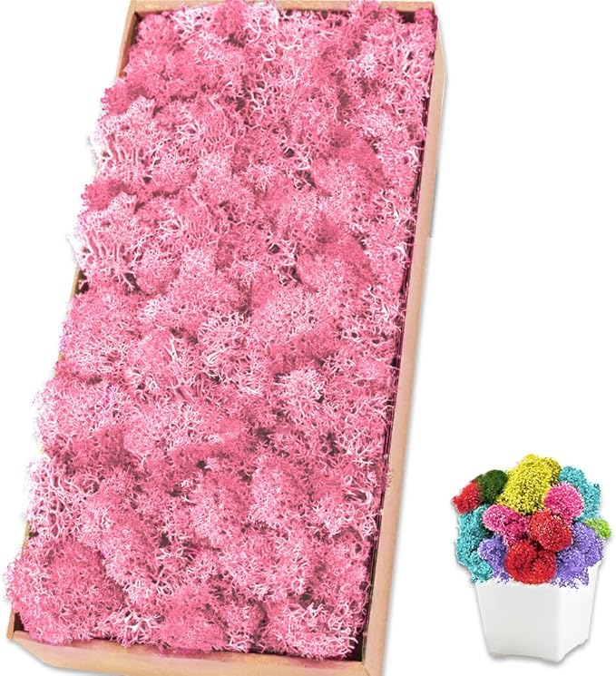 Preserved Reindeer Moss 17.6 OZ Pink Natural for Crafts, DIY Gift Christmas Decor, Wall Art, Potted Plants, Floral Fake Moss for Easter Table Decor Wedding Decorative(1.1 LB, Pink)