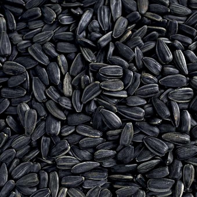Happy Wings Black Oil Sunflower Seeds Wild Bird Food- 15 Pounds | No Grow Seed | Bird Seed for Wild Birds