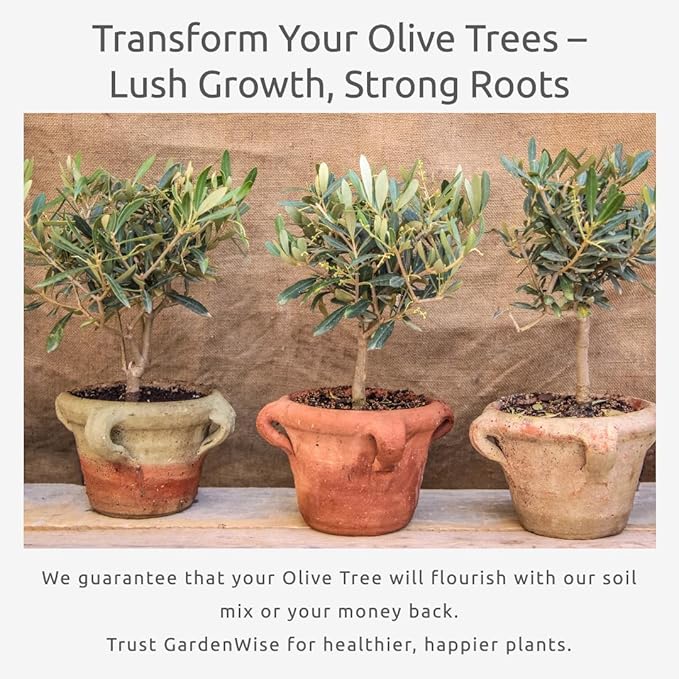 GARDENWISE Organic Olive Tree Potting Mix – Fast-Draining, Nutrient-Rich Soil for Indoor & Outdoor Olive Trees – Mediterranean Plant Care – Long-Lasting Formula (1 Quart)