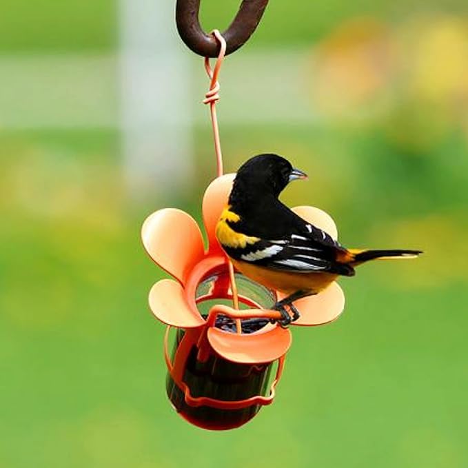 Songbird Essentials Jelly Bird Feeder, Oriole Feeder, Easy to Fill with Jelly or Jam, Plastic Jar Included. Fits Most 10-12 Ounce Jelly Jars