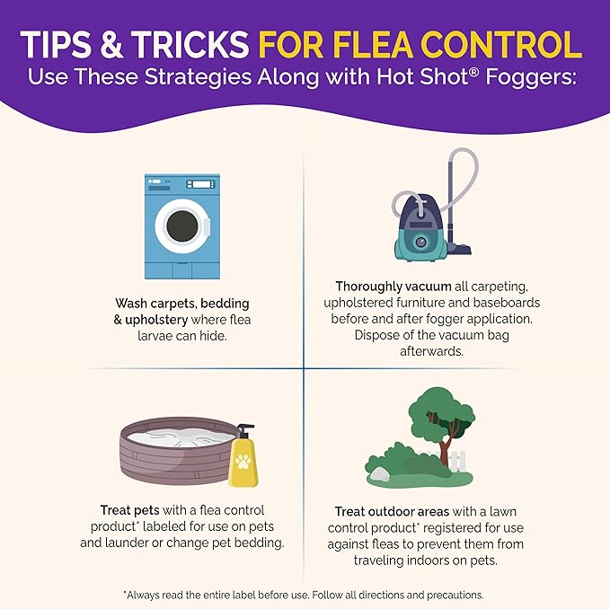 Hot Shot BedBug And Flea Fogger 3 Count-2 Ounce Cans, With Nylar, Inhibits Flea Reinfestation, 6 Pack