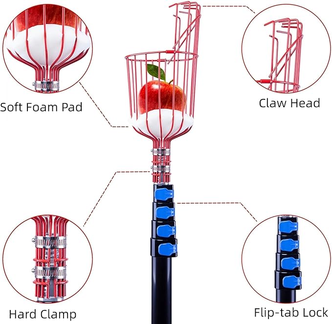 13 Foot Fruit Picker with Basket, 20 Foot High Reach and Easy to Attach Extension Pole for Apple, Orange from Trees (13Ft Fruit Picker)