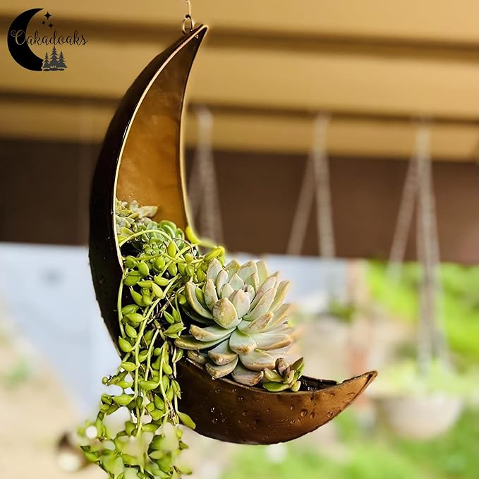 Hanging Moon Planter - Moms Day Gifts for Women - Moon Room Decor - Unique Planters for Succulents,Air Plant, Cactus, Artificial Plants- Plant Lover Gifts - Boho,Hippie, Witchy, Birthdays Gifts