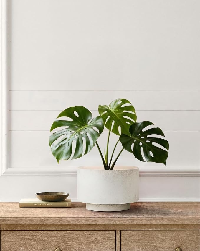 Succulent Pots, 8 Inch + 6 Inch Plant Pots with Drainage Hole, Indoor Outdoor Glazed Ceramic Planter, Set of 2 Modern Round Flower Pots for Plants, White