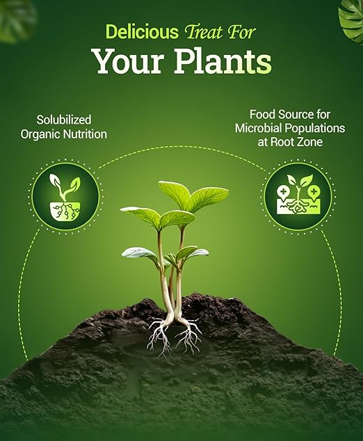 FoxFarm Bush Doctor Bembé Sweet & Dandy Liquid Plant Fertilizer - Complex Nutrient Blend - 0-1-3 PK Fertilizer for In-Ground & Hydroponic Gardens - 1 Gallon