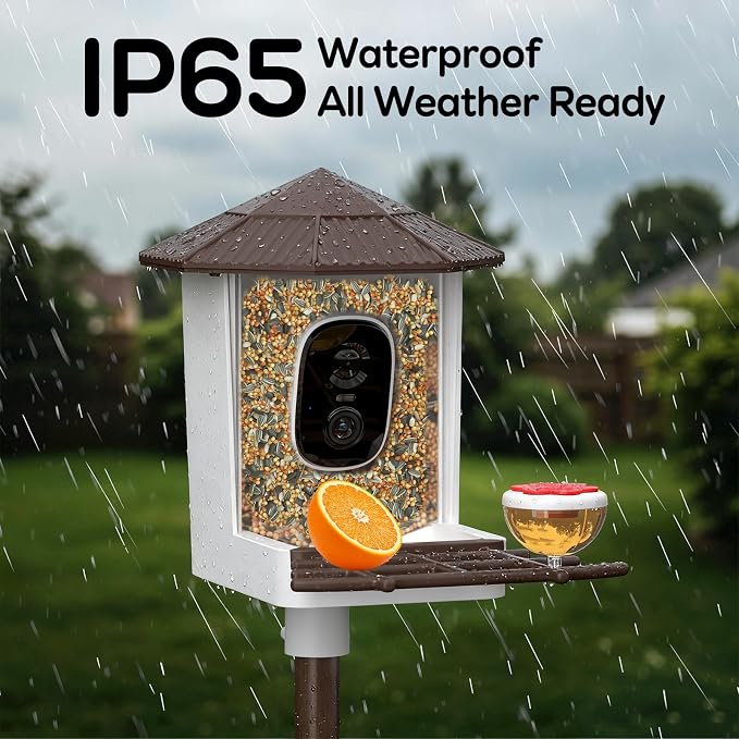 wansview Bird Feeder with Camera-Smart Bird Feeders for Outdoors Solar Powered, Birdhouse with Cam & Alert, 2K Live Video, AI Identify Species, Birdwatching Gift for Father's Day, F1, Brown, 2.4G WiFi