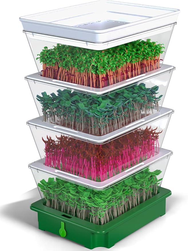 ZESTIGREENS 4-Tier Sprouting Kit - Stackable Seed Sprouter Trays with Drain Spout - Grow Fresh Sprouts at Home - BPA-Free