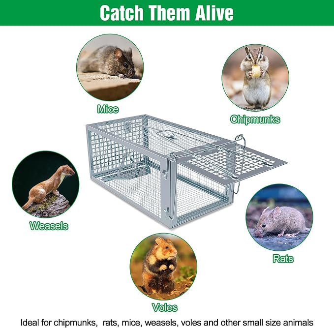 4 Packs Humane Rat Trap Outdoor, Wanqueen Humane Mouse Traps Indoor for Home, Small Rodent Chipmunk Squirrel Trap and Other Live Animal Cage Catch and Release