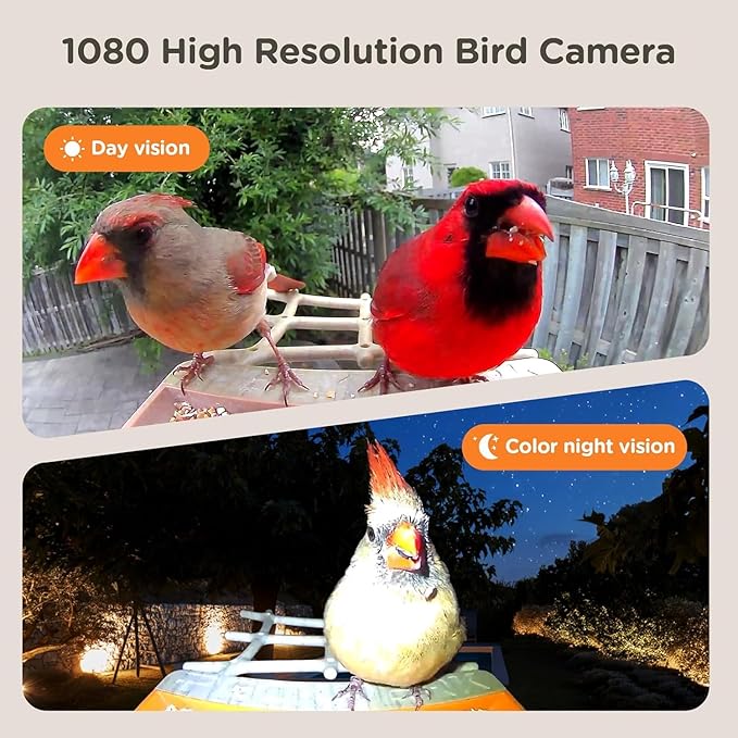 Bird Feeder with Camera Solar Powered, Smart Birds Feeder for Outside, AI Bird Identification Auto Capture Videos Pictures, 2K Live Feed Cam for Backyard, Ideal Gift for Birds Lover (Brown)