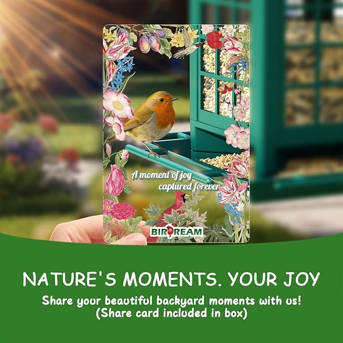 Birdream Bird Feeders for Outdoor Hanging, Assembly Required, 1-Min Easy Setup, Classic Courtyard Design, Attracting Cardinals Chickadees Goldfinches & Sparrows - Green