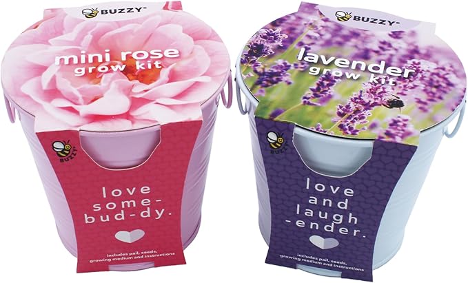 BUZZY Seeds Love Pails Grow Kit, 2-Pack – Valentine’s Day Mini Garden Gift with Colorful Pails, Mini Rose & Lavender Seeds, Growing Medium Included, Indoor Starter Seed Kit