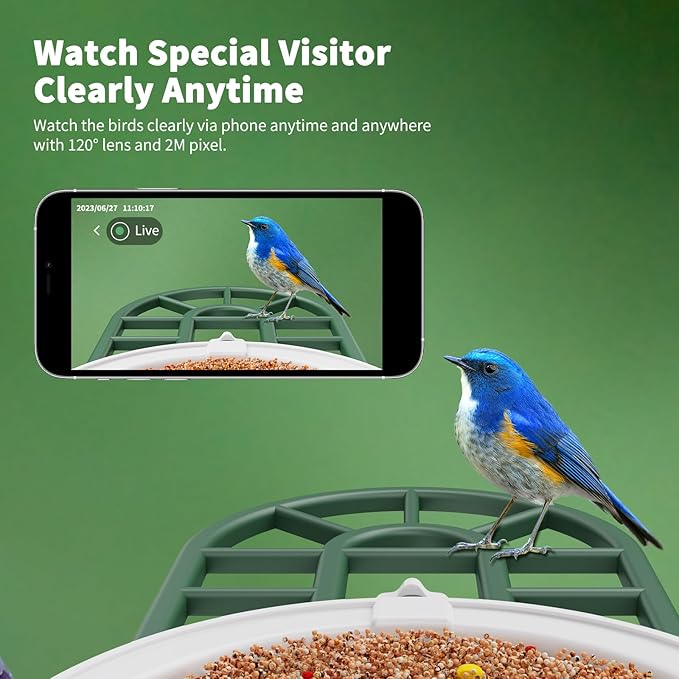 HARYMOR Bird Feeder with Camera with AI Identify Birds Species Solar Powered, Smart Bird House with Cam, 2K HD Video Live Stream, Instant Arrival Alerts - Green