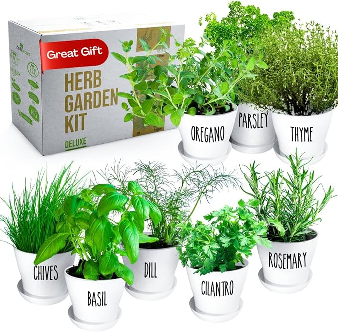 Deluxe Indoor & Outdoor Herb Garden Kit – 8 or the Most Popular Culinary Herbs with Pots & Soil for Windowsill or Patio Growing