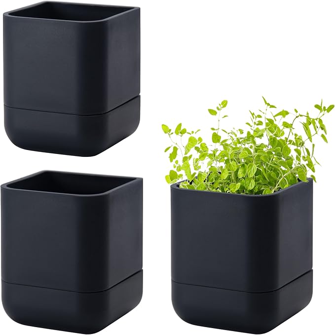 Phoenix Vine 3.5 Inch Wall Mounted Self-Watering Planter Pot for Indoor Houseplants and Herbs | Hanging Planter for Window Sills, Bathroom Walls, Home & Office Décor, Black, Set of 3, 01-A-E-3