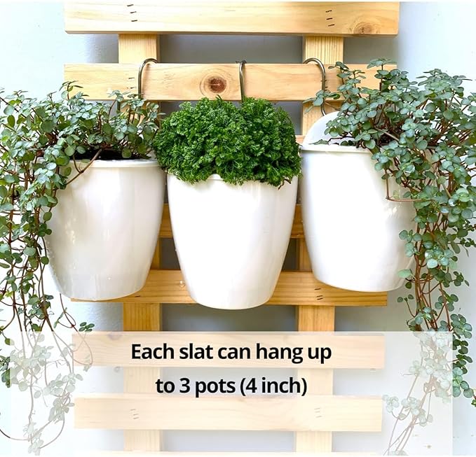 ShopLaLa Wall Planter (60cm, 2 Pack) Wooden Hanging Ladder Planters with Clear Paint Finish, Wall Mount Plant Stand for Indoor Plants, Outdoor Vertical Garden, Herbs Orchid Display, Balcony Home Decor