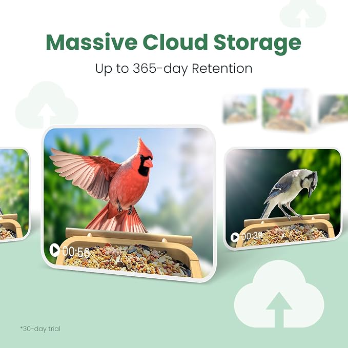 Smart Bamboo Bird Feeder with Camera | 2.5K UHD AI Identification, Real-time Videos & Pictures, Wireless Solar Powered, Outdoor, Ideal for Garden Birding