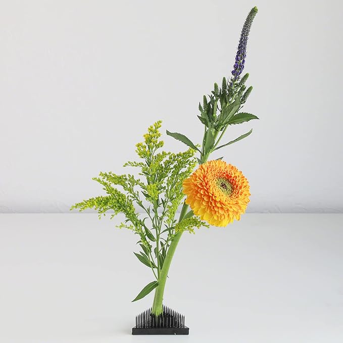 Wazakura Japanese Black Triangle Ikebana Kenzan Flower Holder 2 in (53 mm), Made in Japan Floral Arranging Pin Frog Tool - Black Triangle Kenzan 2" (53mm)