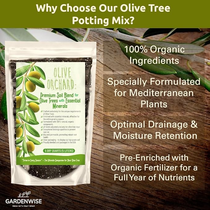 GARDENWISE Organic Olive Tree Potting Mix – Fast-Draining, Nutrient-Rich Soil for Indoor & Outdoor Olive Trees – Mediterranean Plant Care – Long-Lasting Formula (2 QUARTS)