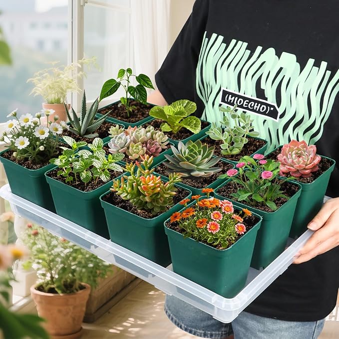 RooTrimmer Clear Seed Starter Trays 5 Pack(17"x11"x2"), Reusable Plastic Carrying Seedling & Nursery Trays, Durable Flat Pots Trays, Transparent Square Tray for Planting and Collecting Drainage Water