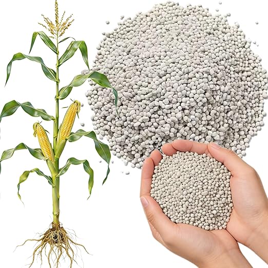 All Purpose Fertilizer, 20-20-20 Indoor Plant Fertilizer, Plant Food for Houseplants, Boost Stem & Leaf Growth, Improves Root Health, Promote Large Flower Blooming & Fruit Growth（6LB）