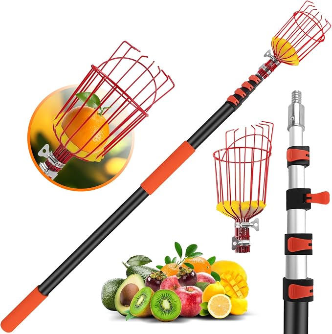 26FT Reach Fruit Picker Pole with Basket Telescoping,Apple Picker Pole with Basket,Lightweight Aluminum Pole Fruit Catcher for Trees,Orange Picker Suit for,Pear,Lemon,Mango,Guava,Avocados