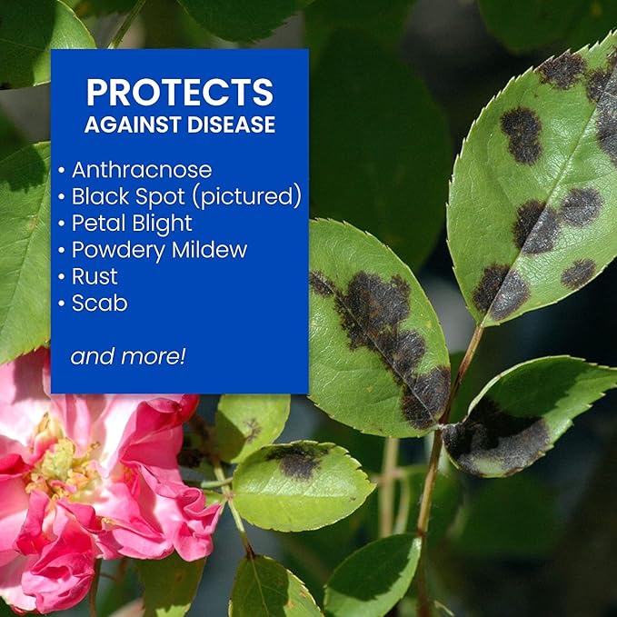 BioAdvanced Disease Control for Roses, Flowers and Shrubs, Concentrate, 32 oz with BioAdvanced All-in-One Rose and Flower Spray, Concentrate, 32 oz