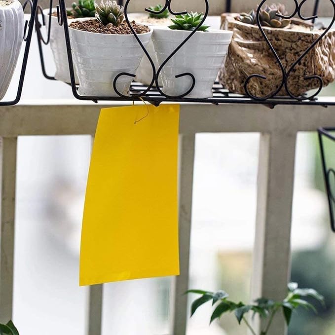 Faicuk 20 Pack Dual Sided Yellow Sticky Traps for Flying Plant Insect Like Fungus Gnats, Aphids, Whiteflies, Leafminers (6x8 Inches, Twist Ties Included)