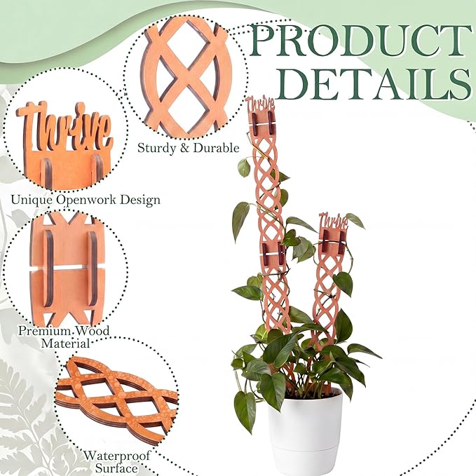 6 Sets Wooden Extendable Plants Trellis Indoor Modular Plant Trellis with Wood Thrive Sign Decor and Extensions for Outdoor Climbing Houseplants Vine Flower Stem(Diamond)