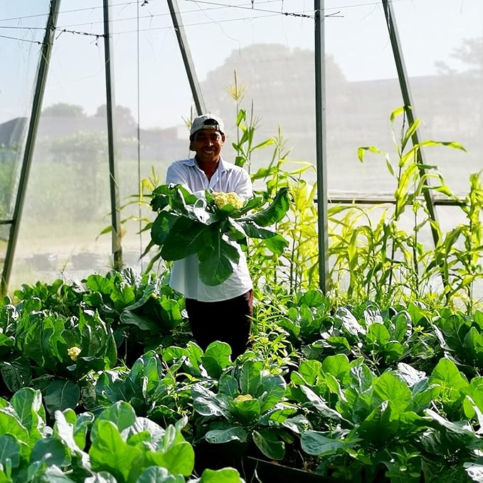 Garden Netting Pest Barrier: Ultra Fine 15'x30' Bug Netting for Garden Protection Row Cover Raised Bed Screen Mesh Greenhouse Mosquito Net, Protecting Tree Plants Vegetable Flowers Fruits