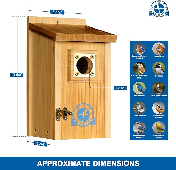 SISTERBIRD Pack of 2 Premium Bluebird Houses for Outside, Assembled Bird House Gift, Garden Decoration Bluebird House, Copper Predator Guard, Easy to Clean Bird Nesting