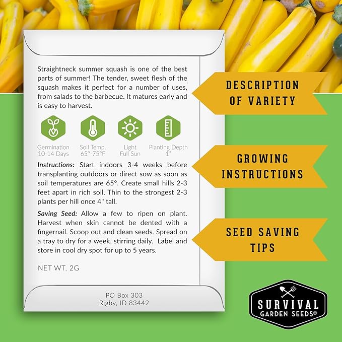 Survival Garden Seeds - Straightneck Summer Squash Seed for Planting - 2 Packets with Instructions to Plant and Grow Yellow Squash in Your Home Vegetable Garden - Non-GMO Heirloom Variety
