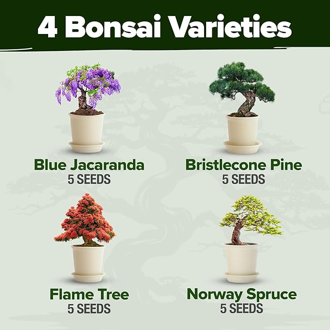 2,000+ Vegetable Seeds for Planting - Bonsai Tree Kit - Gifts for Men & Women